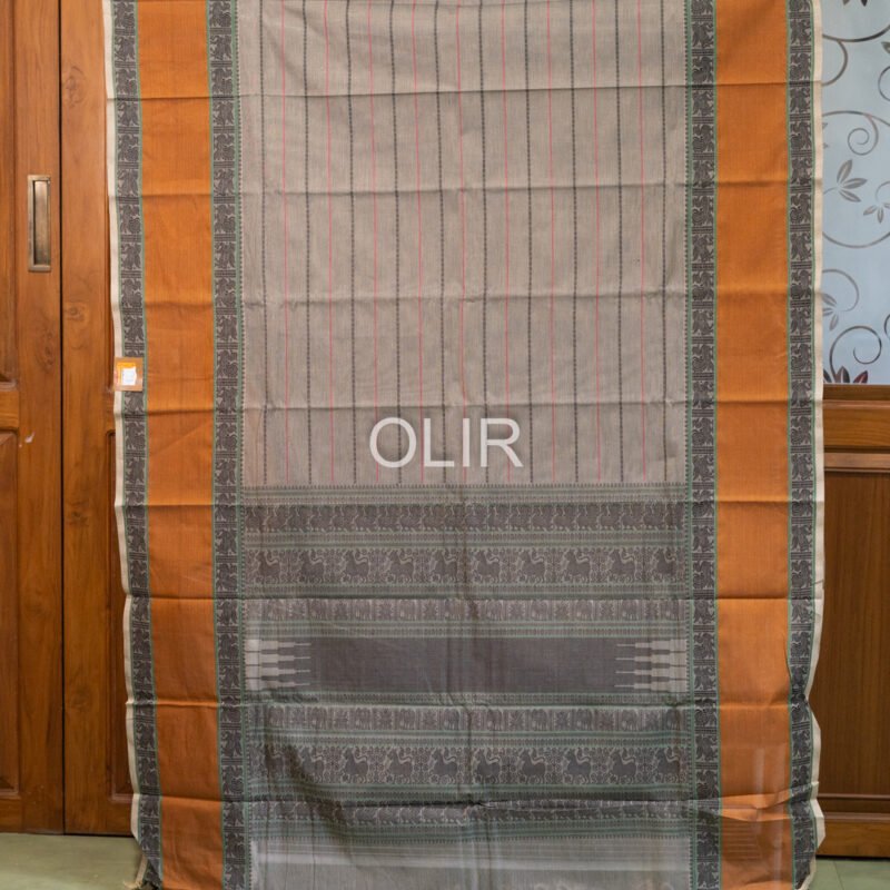 Kanchi cotton